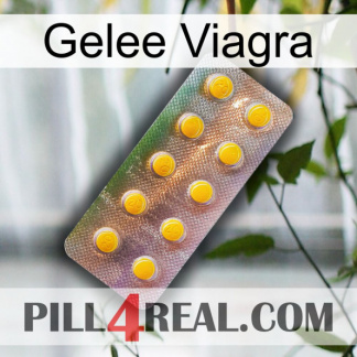 Jelly Viagra new11